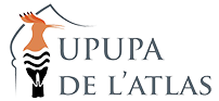 Upupa de l'Atlas : Maison d'hôtes avec piscine à Marrakech